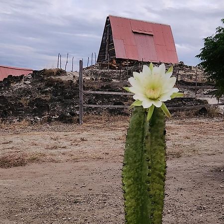 Mana Star Lounge Hotel Villavieja Luaran gambar