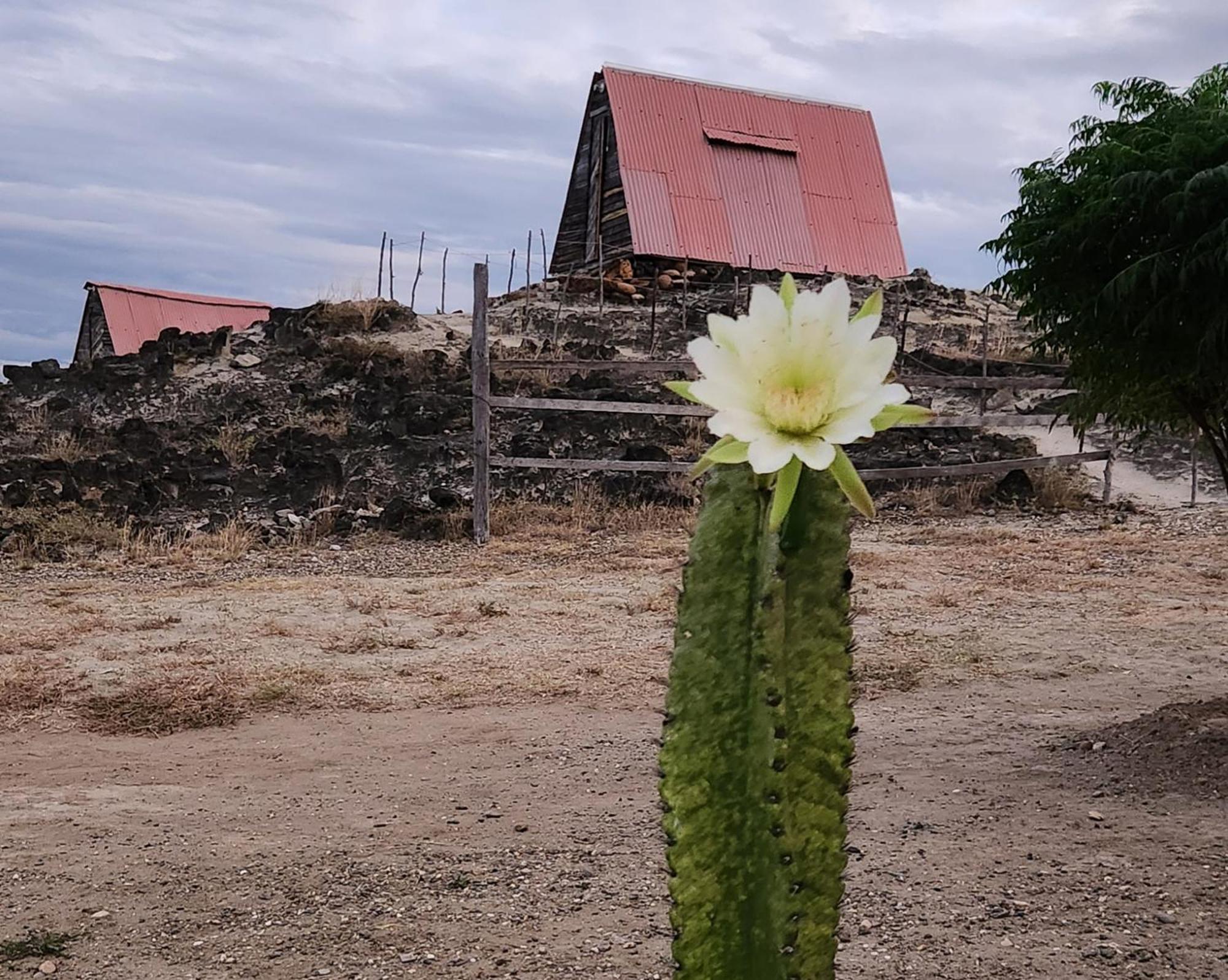Mana Star Lounge Hotel Villavieja Luaran gambar